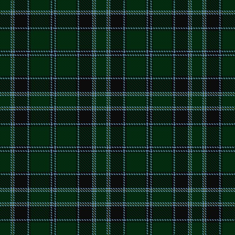 Tartan image: Fort William. Click on this image to see a more detailed version.