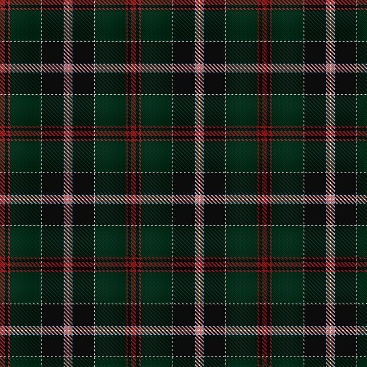 Tartan image: Palmer, Nicholas (Personal). Click on this image to see a more detailed version.