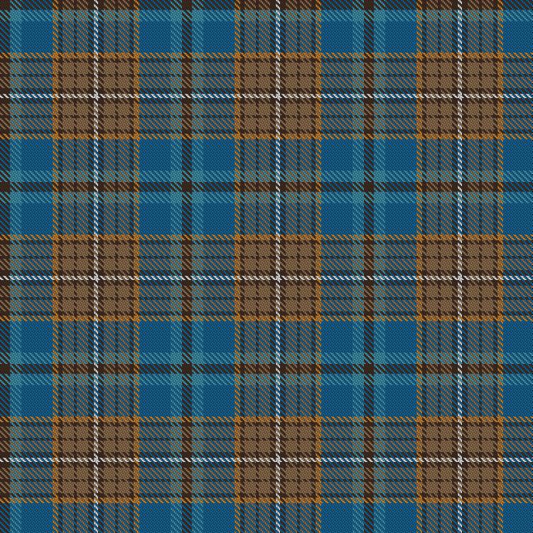 Tartan image: North to Somerled. Click on this image to see a more detailed version.