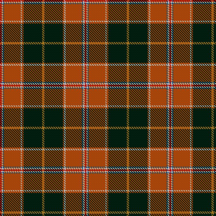 Tartan image: Uittenbogaard, Dirk (Personal). Click on this image to see a more detailed version.