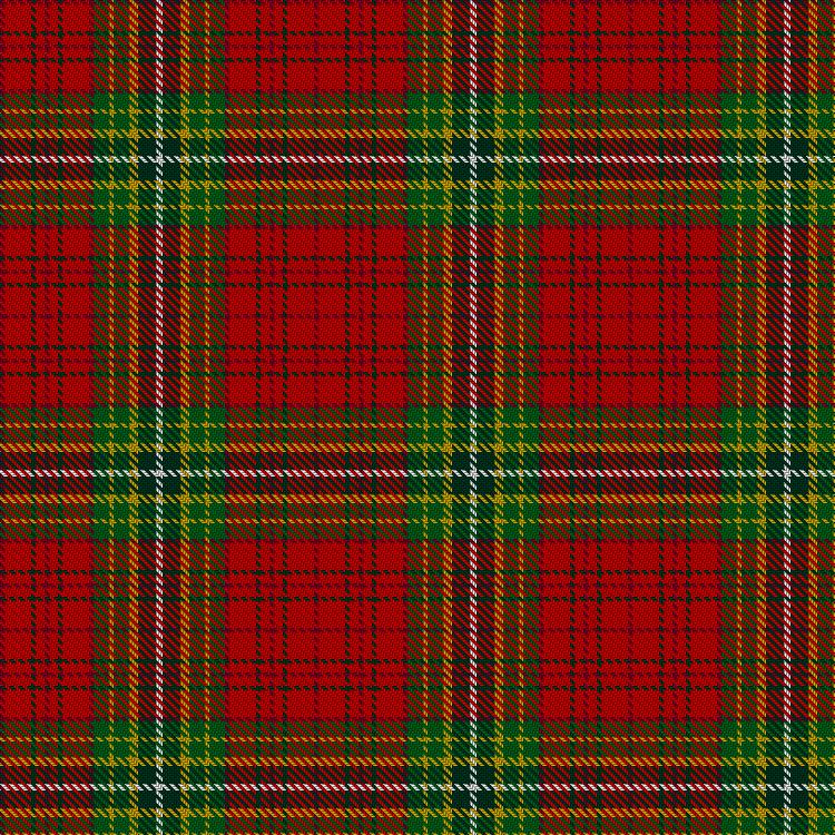 Tartan image: City of Brechin. Click on this image to see a more detailed version.