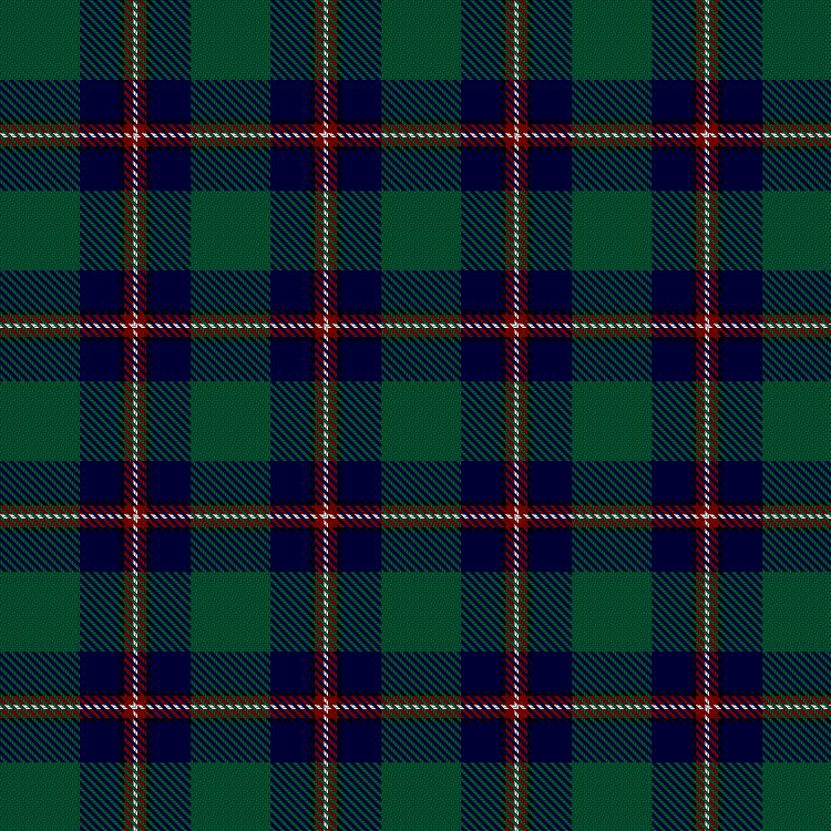 Tartan image: Irvine, Glenn (Personal). Click on this image to see a more detailed version.