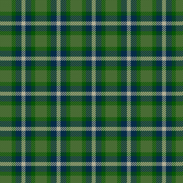 Tartan image: Young Life International - Scotland. Click on this image to see a more detailed version.