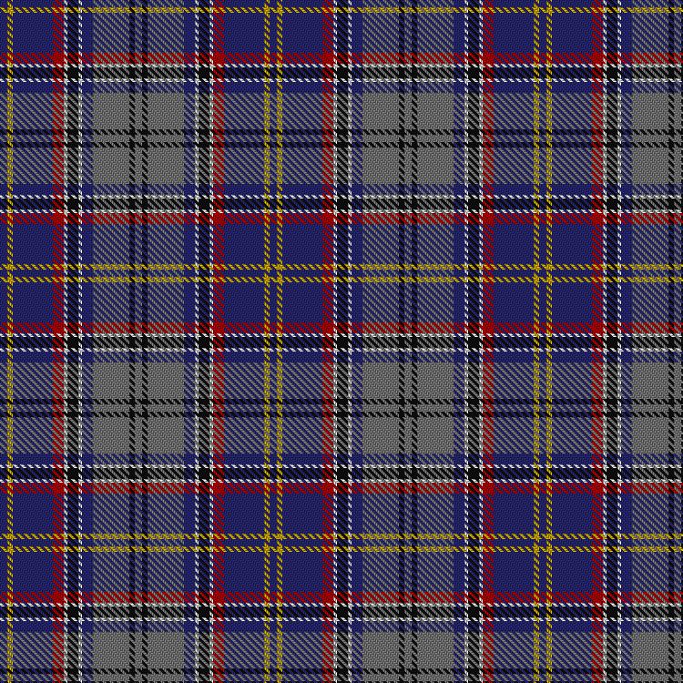 Tartan image: Asman Hunting (Personal). Click on this image to see a more detailed version.
