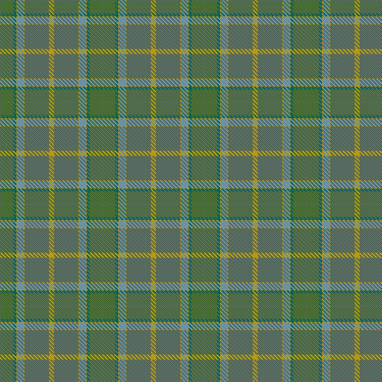 Tartan image: New Forest - Summer. Click on this image to see a more detailed version.