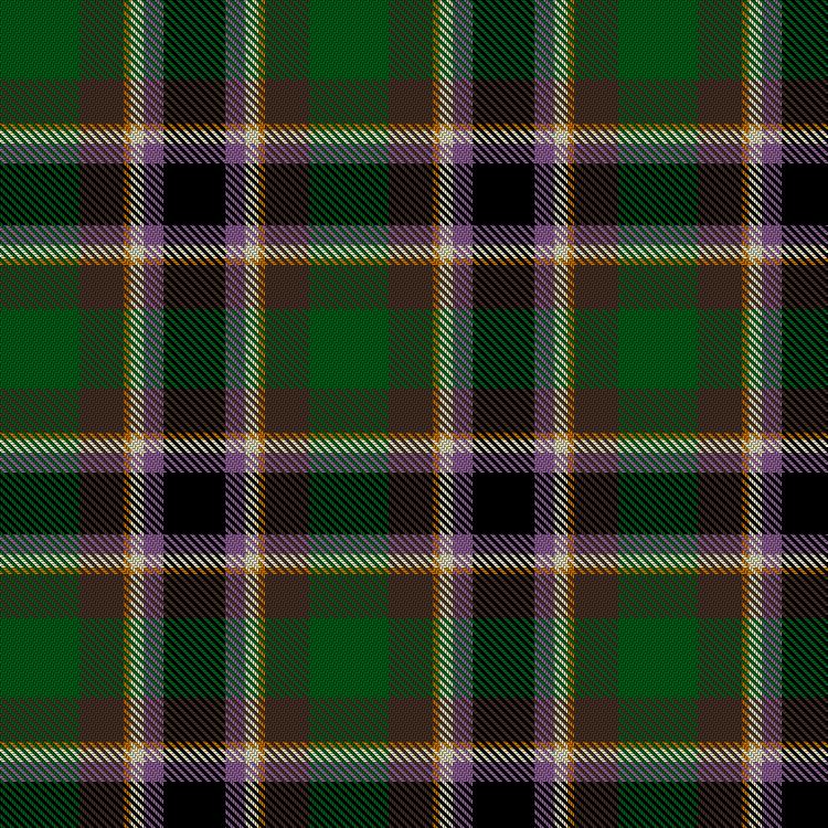 Tartan image: Parker, Leonard James (Personal). Click on this image to see a more detailed version.