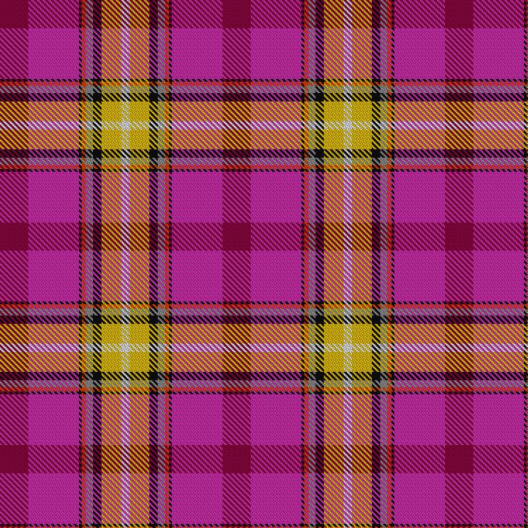 Tartan image: Glasglow Girls Club. Click on this image to see a more detailed version.