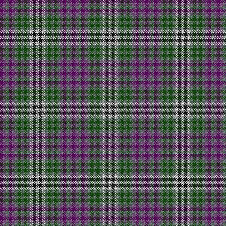 Tartan image: Studio Froachan. Click on this image to see a more detailed version.