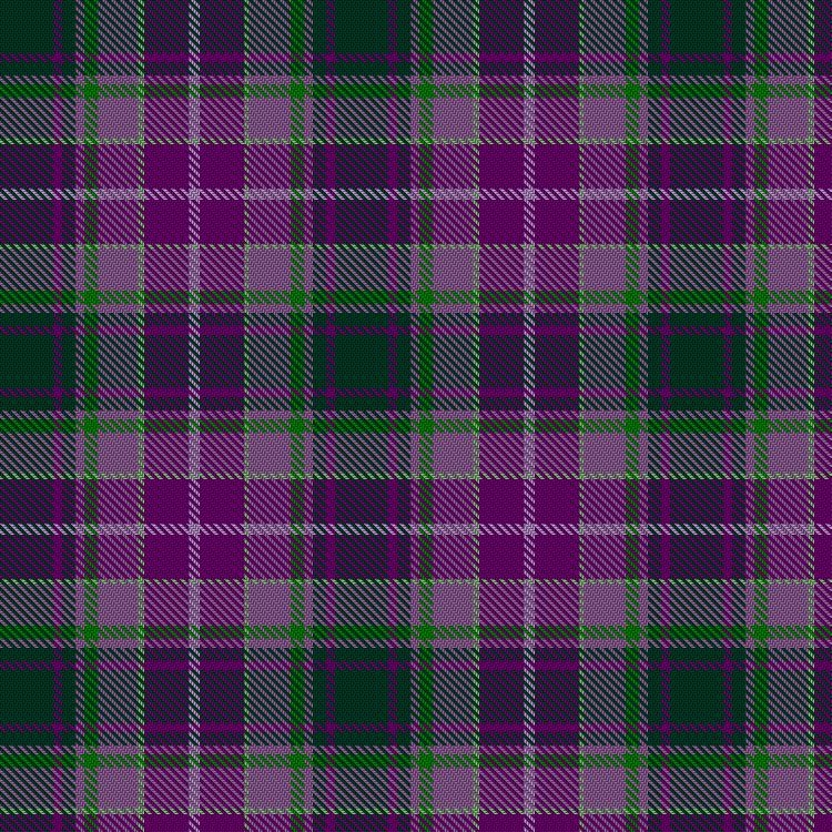 Tartan image: HANSA-PARK. Click on this image to see a more detailed version.