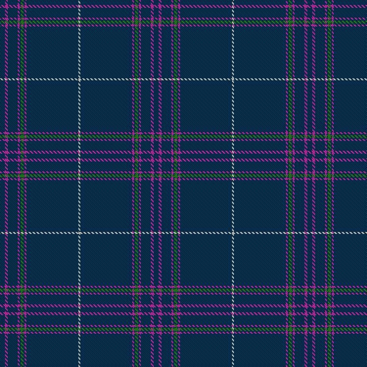 Tartan image: Tanya Horne Dance. Click on this image to see a more detailed version.