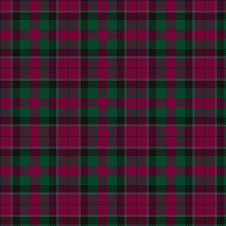Tartan image: Gaglardi, Mitch (Personal). Click on this image to see a more detailed version.