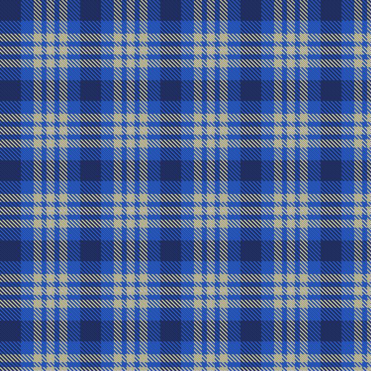 Tartan image: JoCo Cruise. Click on this image to see a more detailed version.