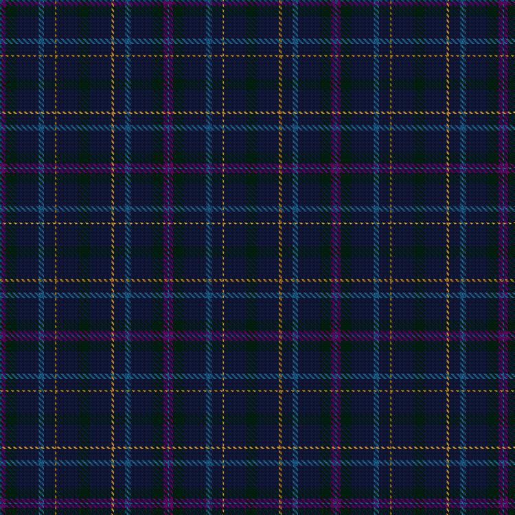 Tartan image: Haider-Schoener von Sonnheim, C & W (Personal). Click on this image to see a more detailed version.