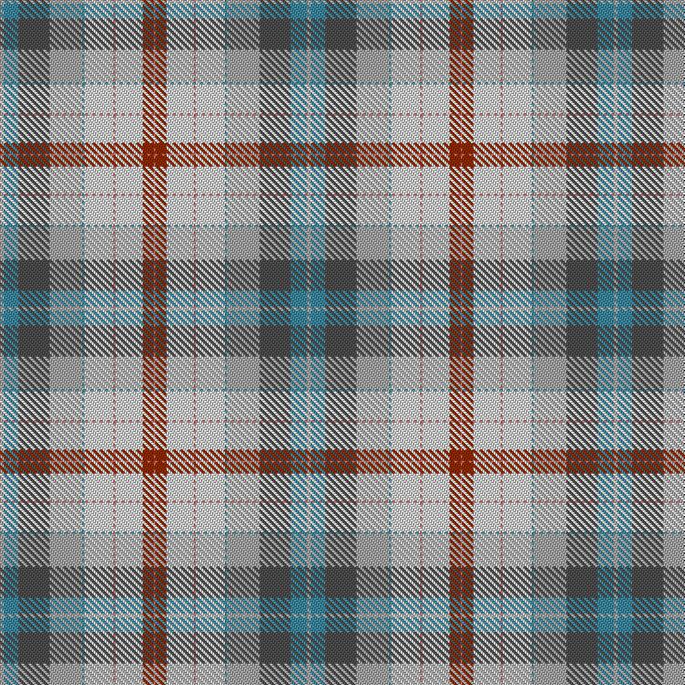 Tartan image: MERIT. Click on this image to see a more detailed version.