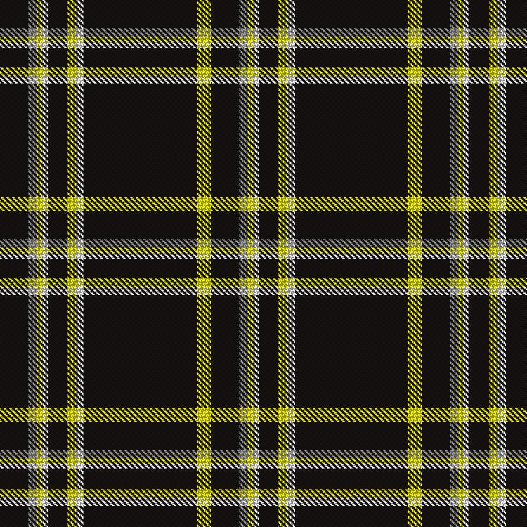 Tartan image: Feltham, P & Family (Personal). Click on this image to see a more detailed version.