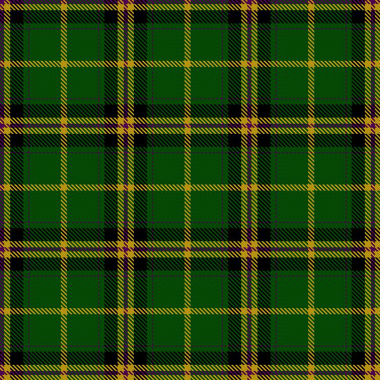 Tartan image: Bishop, Morrie (Personal). Click on this image to see a more detailed version.