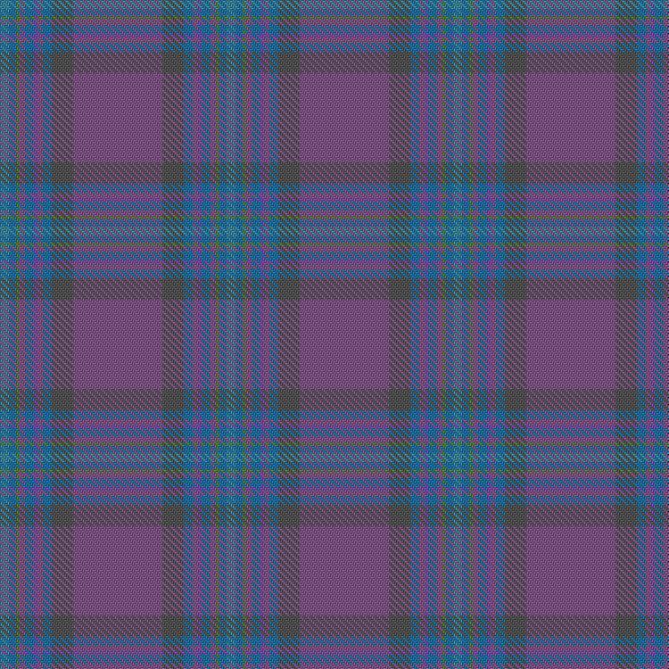 Tartan image: Lidl. Click on this image to see a more detailed version.