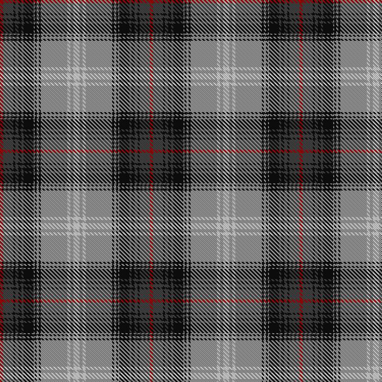 Tartan image: Lochcarron Graphite. Click on this image to see a more detailed version.