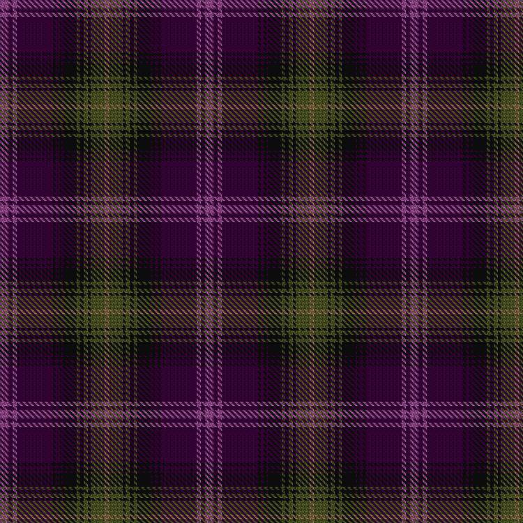 Tartan image: Lochcarron Heather. Click on this image to see a more detailed version.
