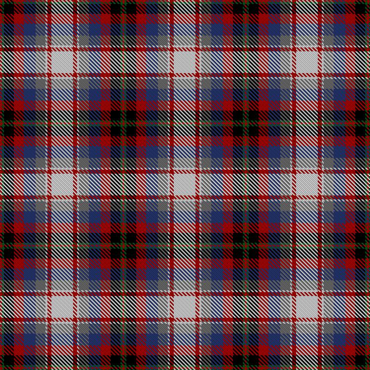 Tartan image: Pugh, Christopher & Family (Personal). Click on this image to see a more detailed version.