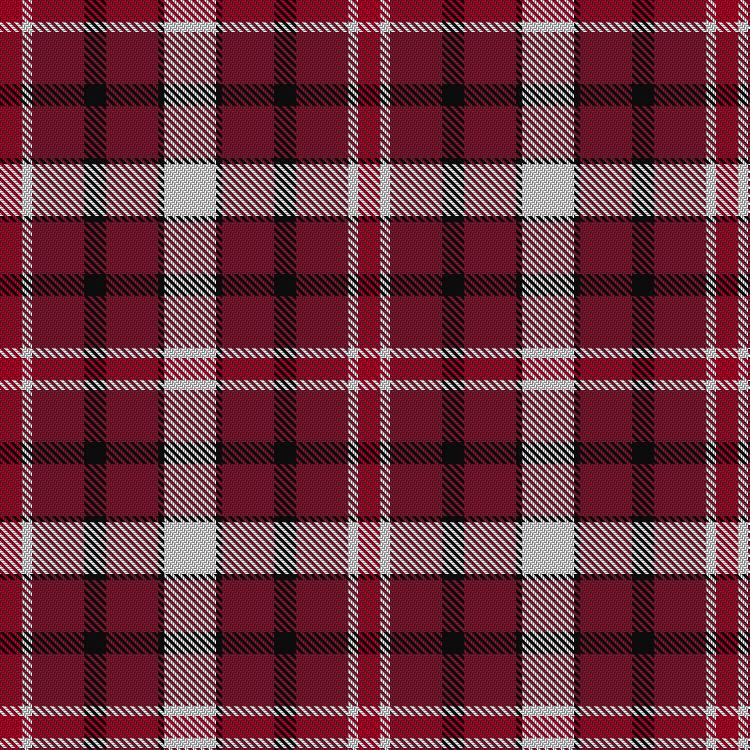 Tartan image: Texas Woman's University. Click on this image to see a more detailed version.