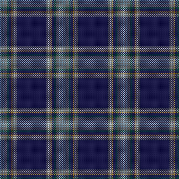 Tartan image: Brady, Caitlin – Grayheck, Jim Wedding (Personal). Click on this image to see a more detailed version.