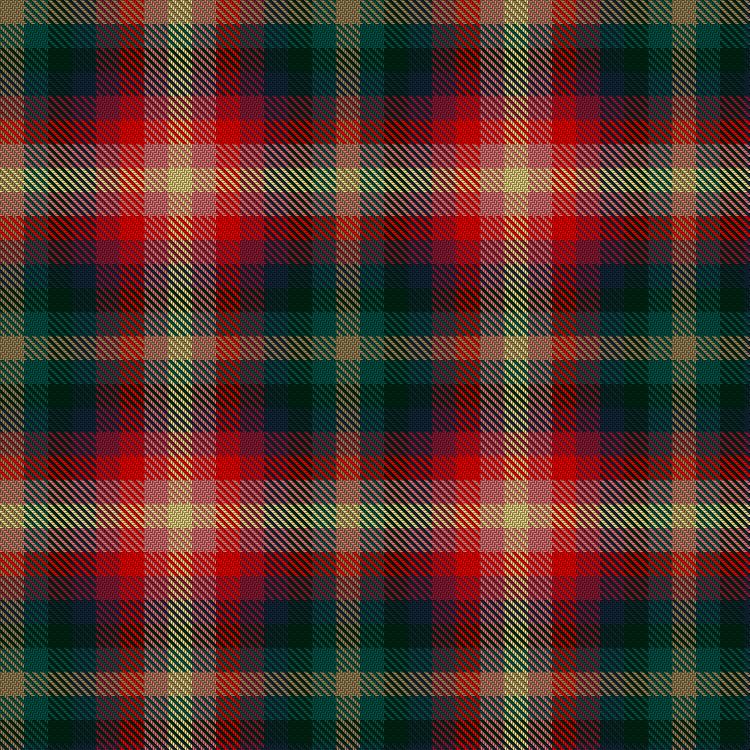 Tartan image: Vegan. Click on this image to see a more detailed version.