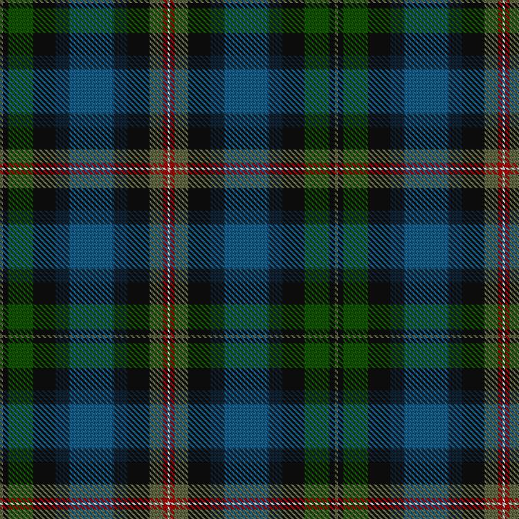 Tartan image: Tomzik, Kamil & Family (Personal). Click on this image to see a more detailed version.