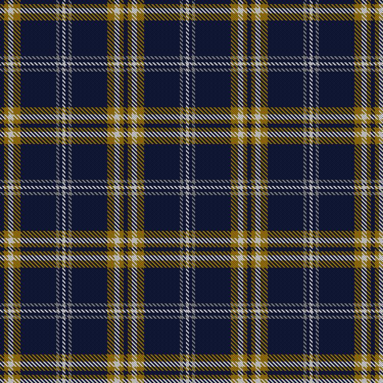 Tartan image: Georgia Southern University. Click on this image to see a more detailed version.