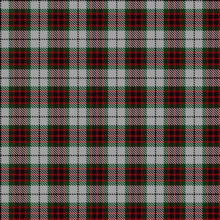 Tartan image: Fraser Dress. Click on this image to see a more detailed version.
