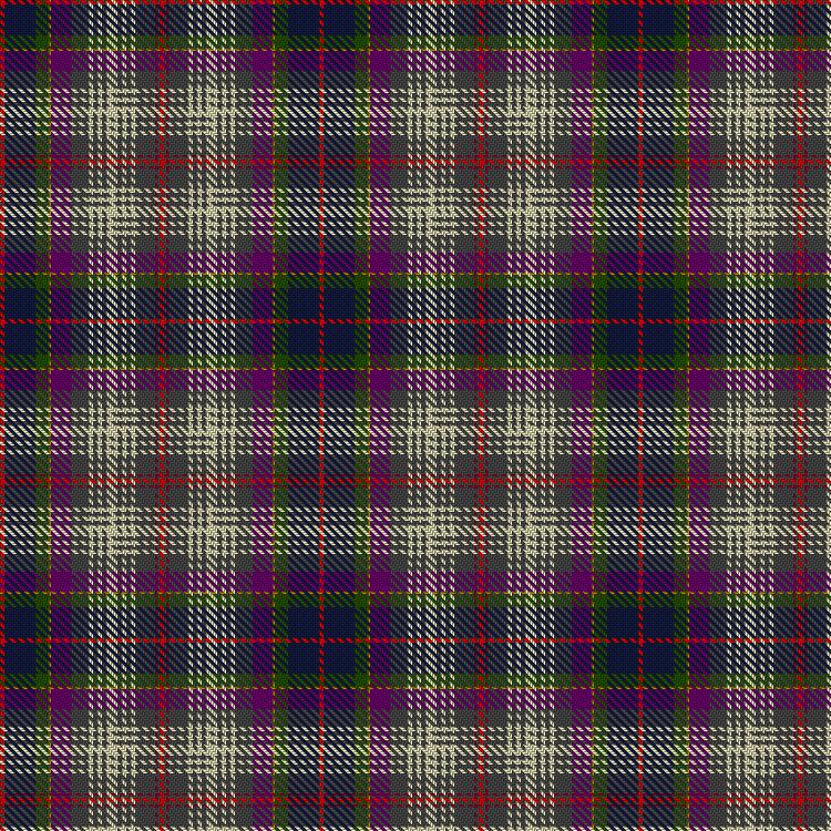 Tartan image: Rablogan Geamhradh. Click on this image to see a more detailed version.