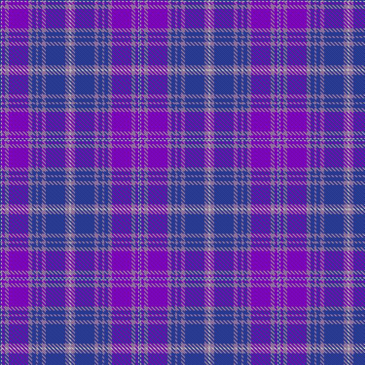 Tartan image: Epilepsy. Click on this image to see a more detailed version.