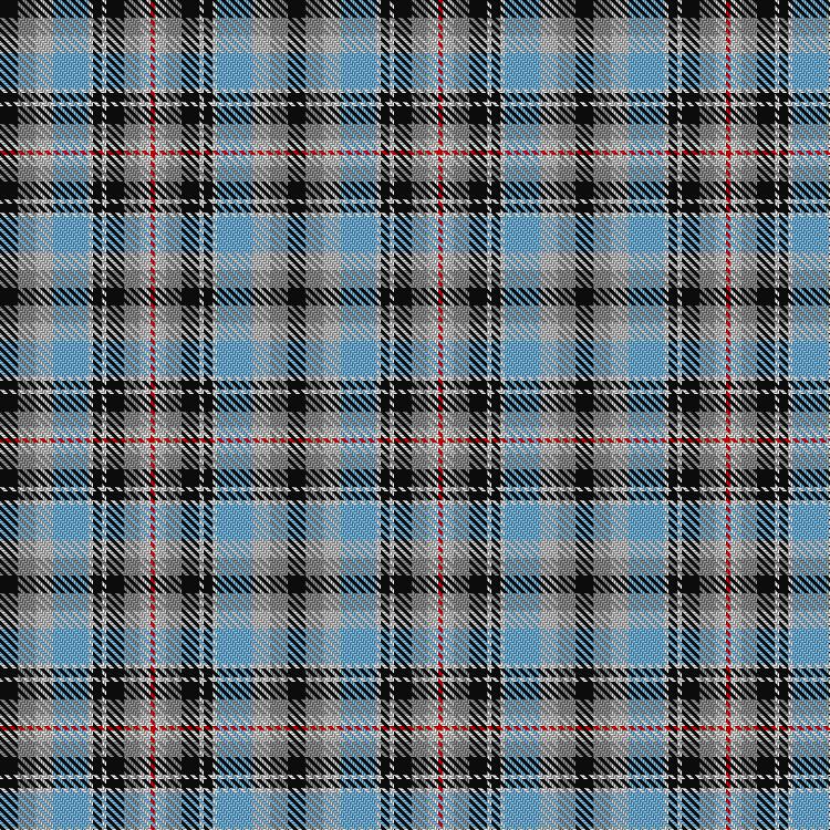 Tartan image: Panin, Denis & Family (Personal). Click on this image to see a more detailed version.
