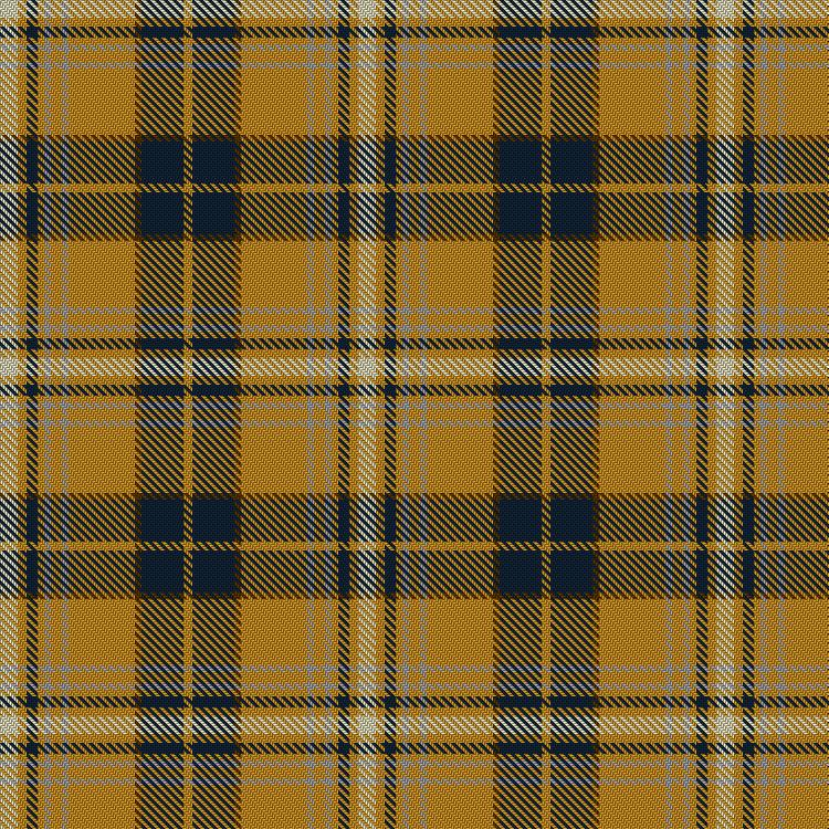 Tartan image: Golden Spirit. Click on this image to see a more detailed version.