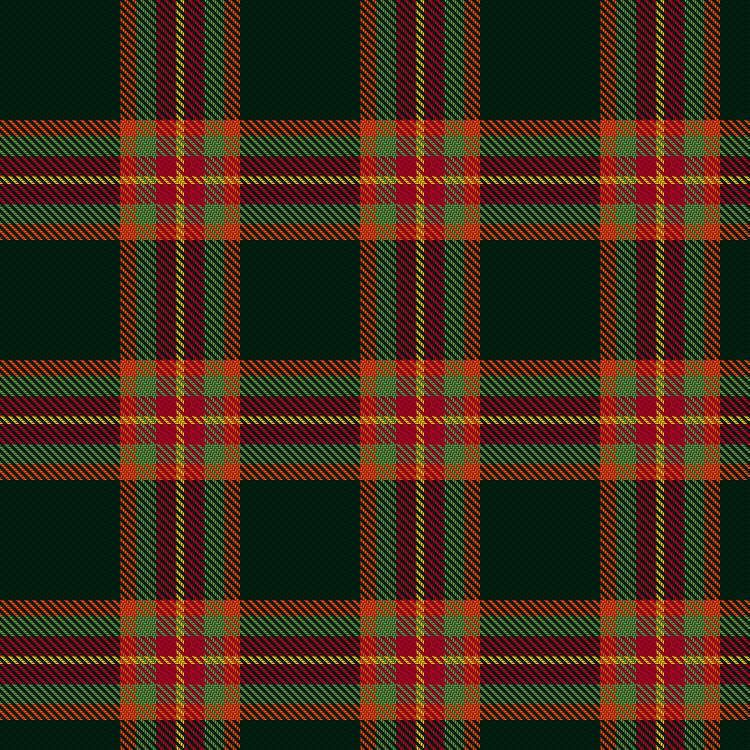 Tartan image: Savva, P & N (Personal). Click on this image to see a more detailed version.