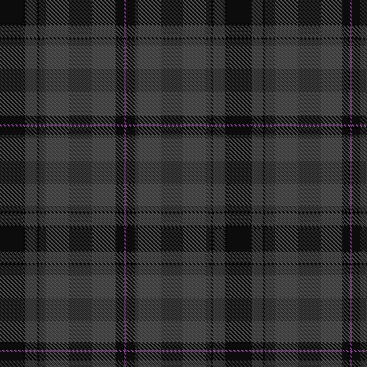 Tartan image: Hudson Clyde. Click on this image to see a more detailed version.