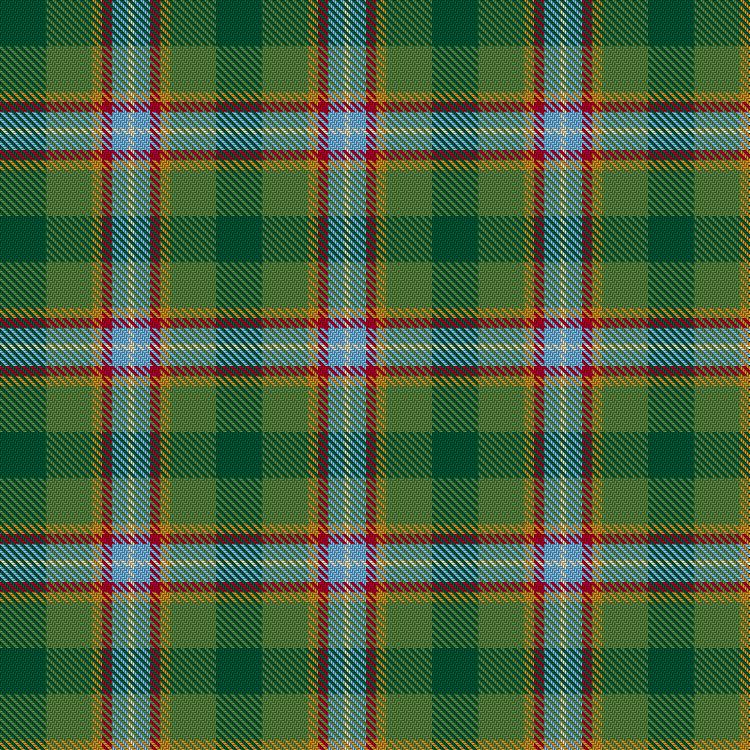 Tartan image: Taka. Click on this image to see a more detailed version.