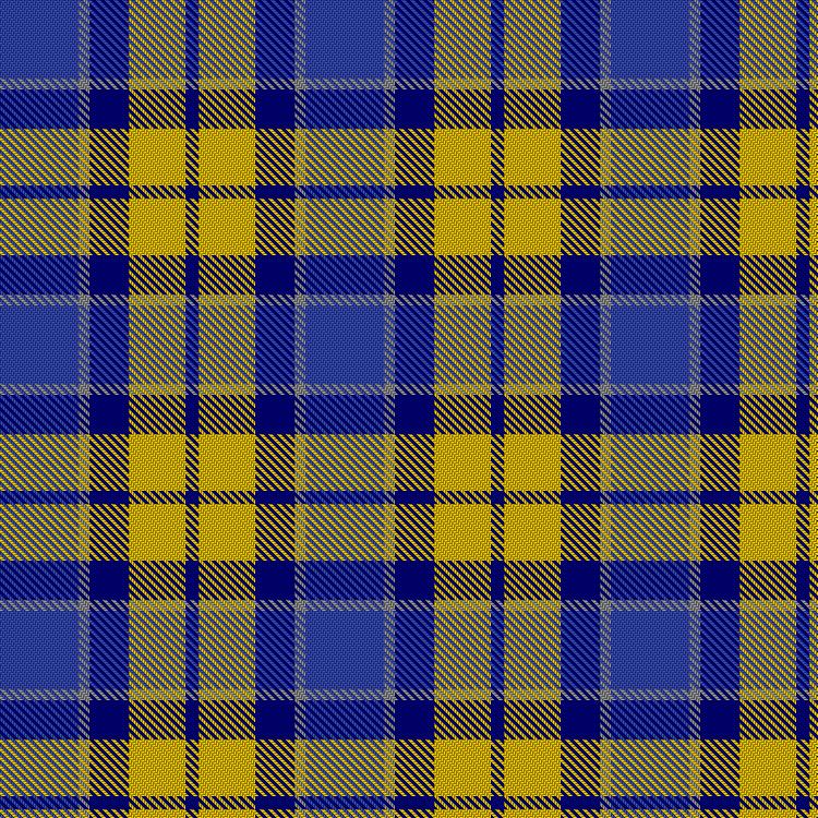 Tartan image: CEO. Click on this image to see a more detailed version.