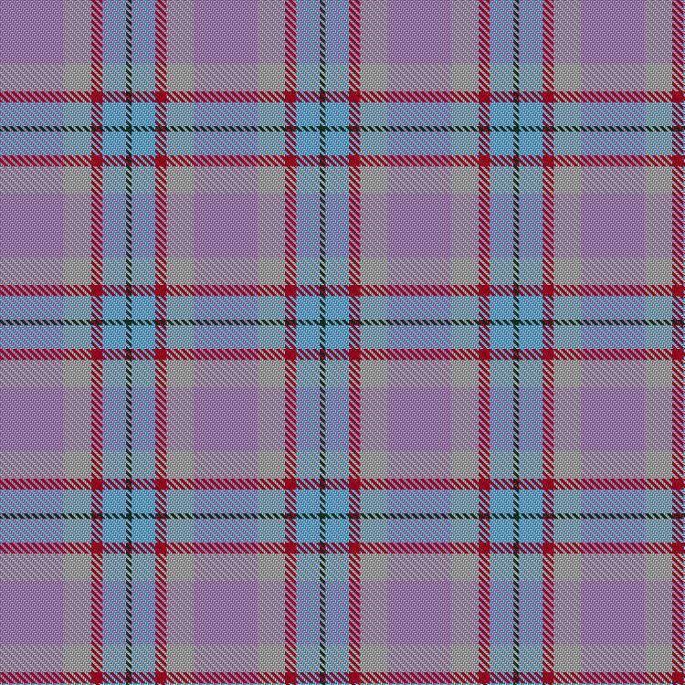 Tartan image: Lupus Awareness. Click on this image to see a more detailed version.