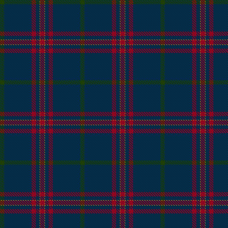 Tartan image: Reina de Jancour, Maurizio, & Family (Personal). Click on this image to see a more detailed version.