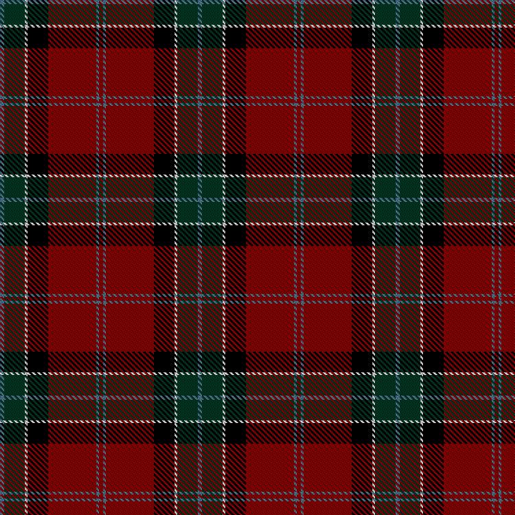 Tartan image: Force-Garrett, Daniel and Amy, & Family (Personal). Click on this image to see a more detailed version.