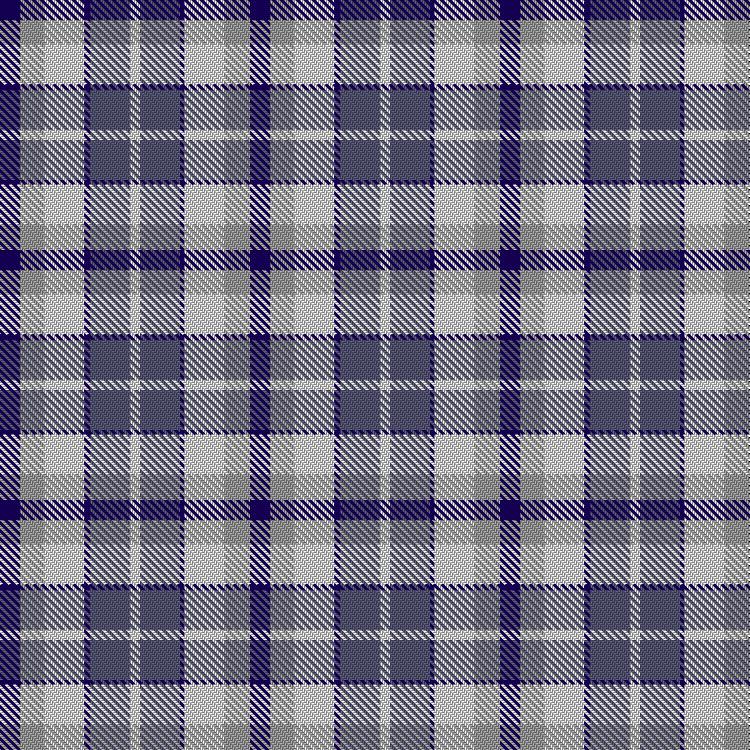 Tartan image: Bertha Park High School Junior. Click on this image to see a more detailed version.