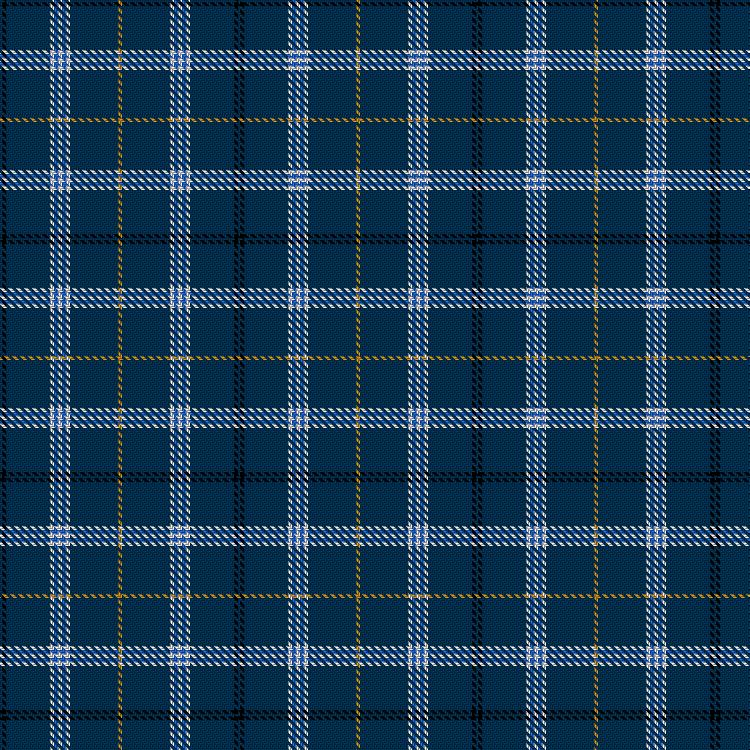 Tartan image: Royal Navy (Official). Click on this image to see a more detailed version.