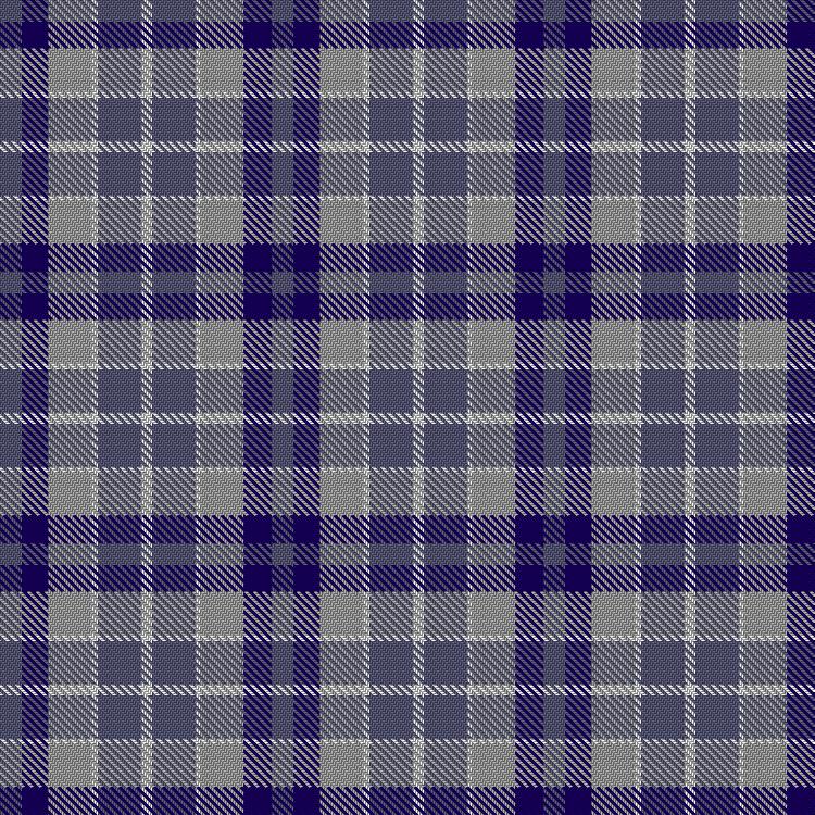 Tartan image: Bertha Park High School Senior. Click on this image to see a more detailed version.