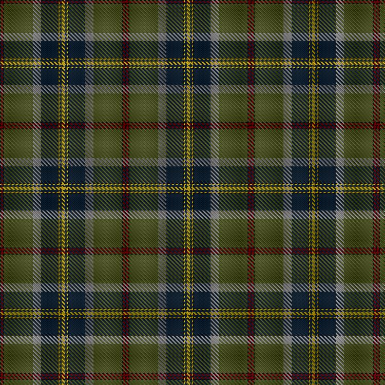 Tartan image: Dugan, Cumberland and Family (Personal). Click on this image to see a more detailed version.