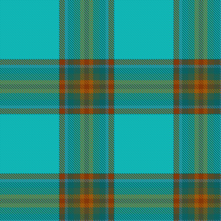 Tartan image: Galloway, Caitlin (Personal). Click on this image to see a more detailed version.