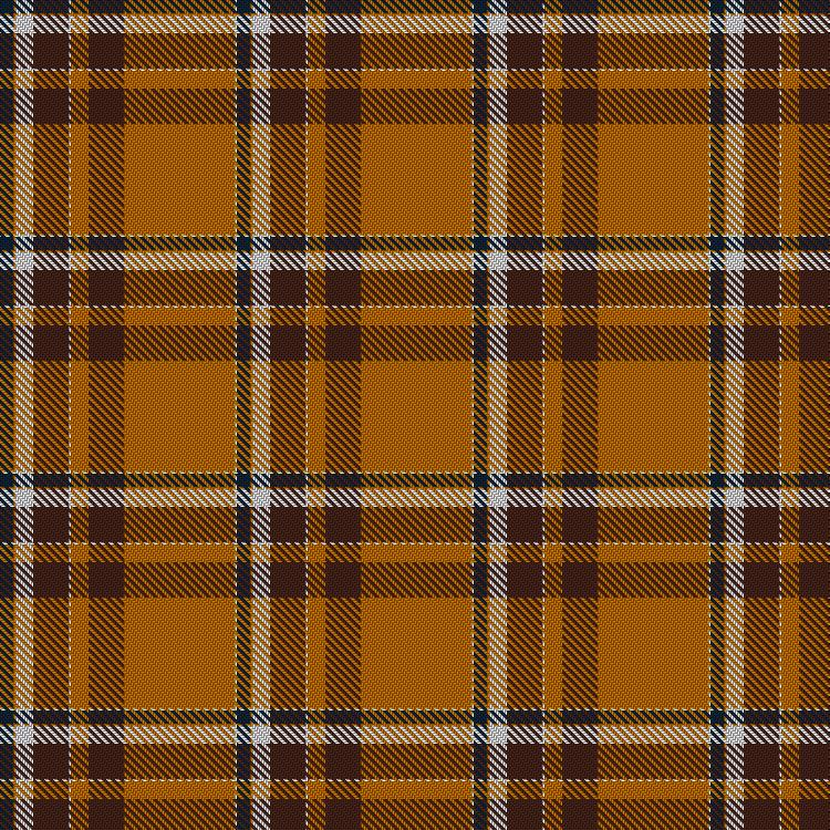Tartan image: Proud Single Parent. Click on this image to see a more detailed version.