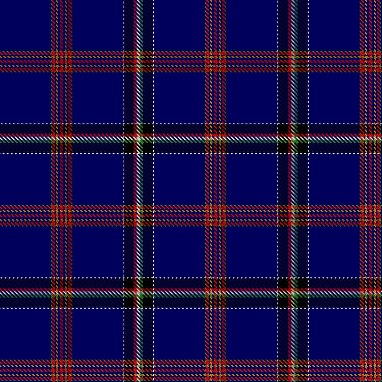 Tartan image: Order of Vitéz. Click on this image to see a more detailed version.