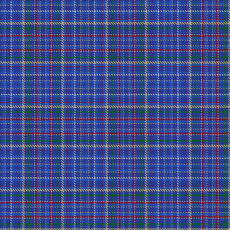 Tartan image: Bannov, Vladimir (Personal). Click on this image to see a more detailed version.