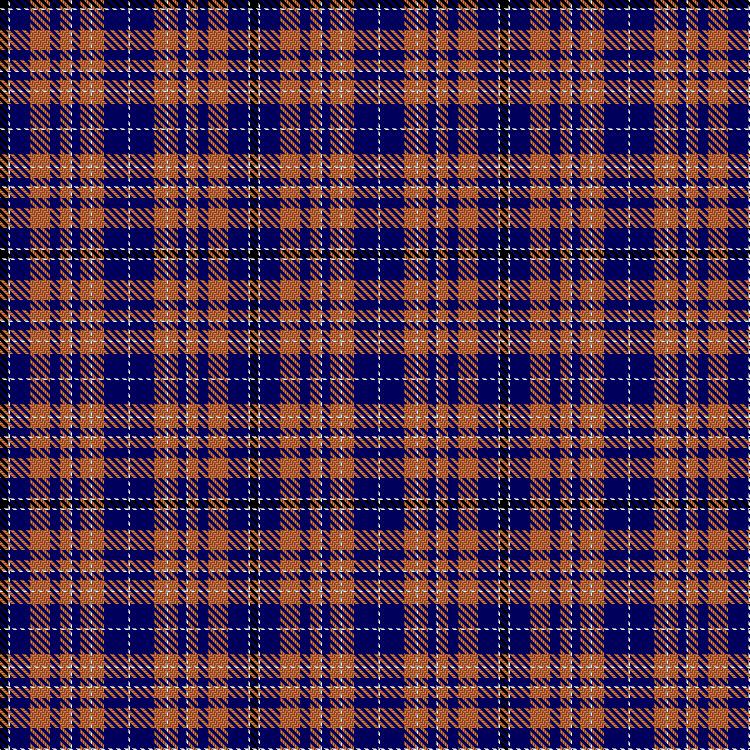 Tartan image: Naperman, Lisa and Dan (Personal). Click on this image to see a more detailed version.